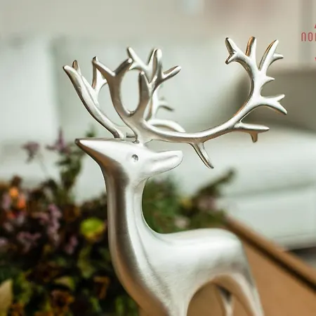 아파트 Nordica Design