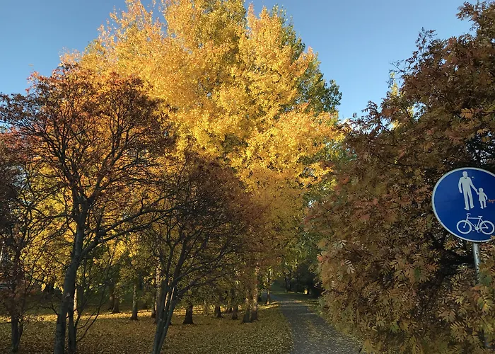 Nordica Design Rovaniemi